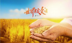 大宗农产品收购与供应链